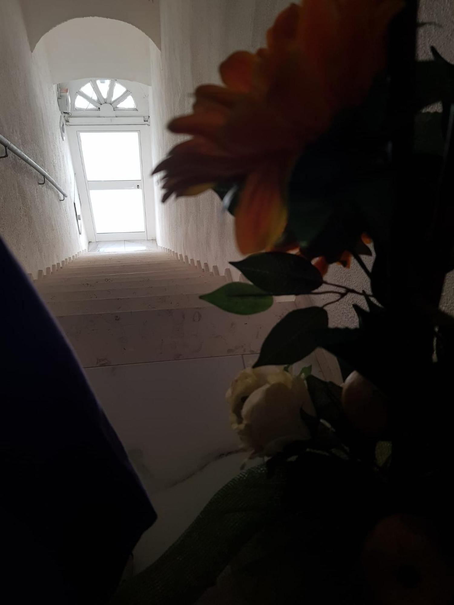 Di Fronzo Guest House T Triggiano Εξωτερικό φωτογραφία
